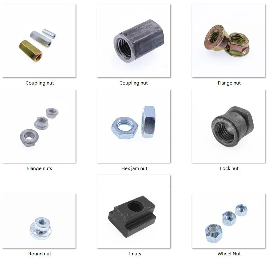 Hex Nuts /Hex Flange Nuts/ Square Nut/Acorn Nut / Cap Nut /Nylon Lock Nuts /Wing Nuts/Cage Nuts/Hex Coupling Nuts/Square Weld Nuts/Hex Weld Nuts/Auto Wheel Nuts